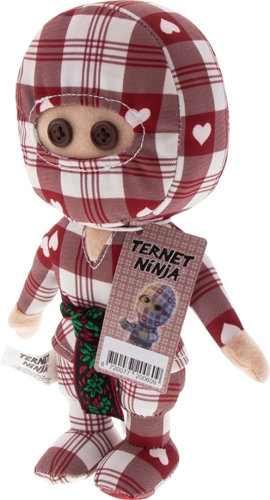 Ternet Ninja 